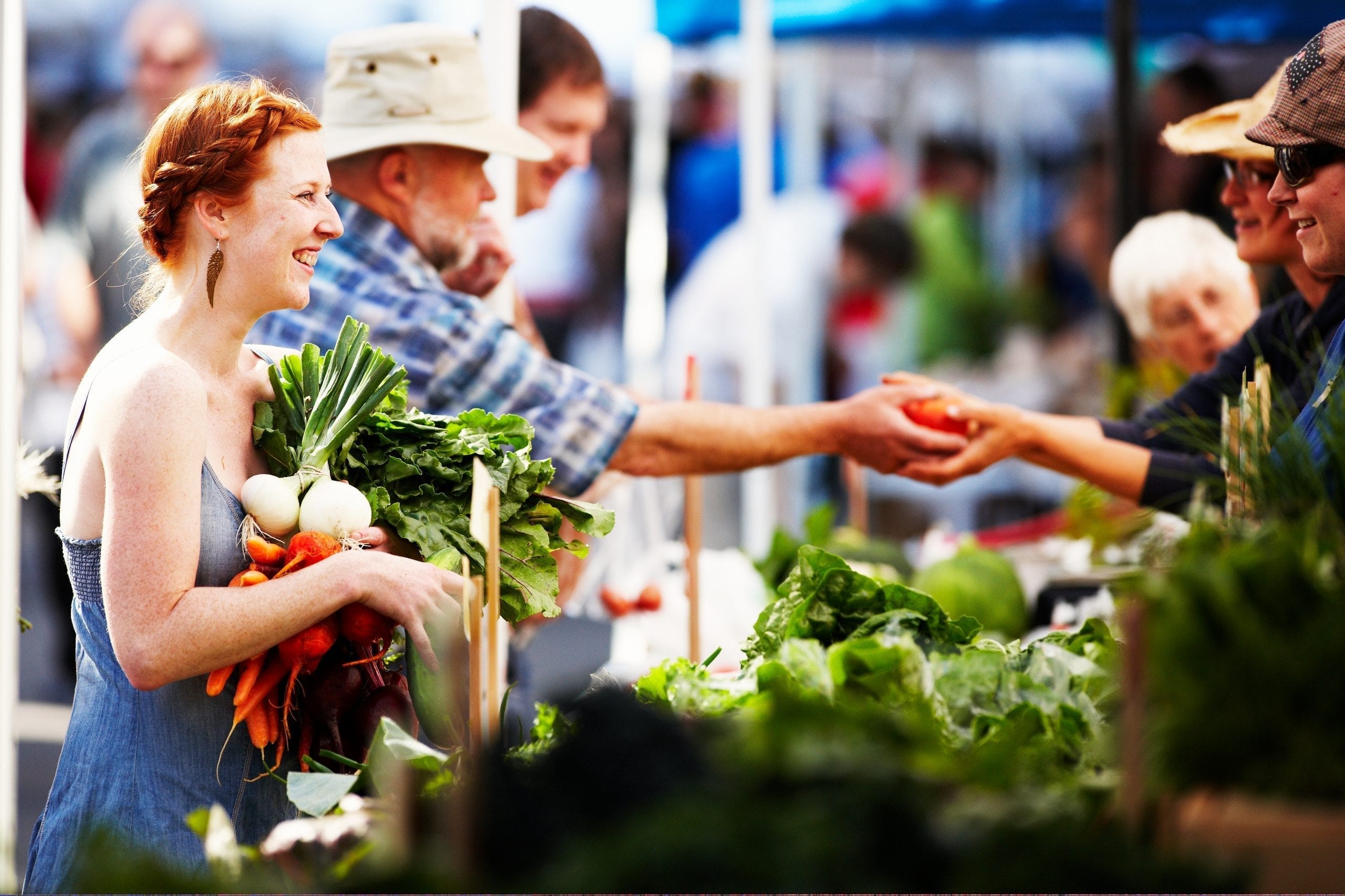 fACT Sheet — Food (In)Security During COVID-19