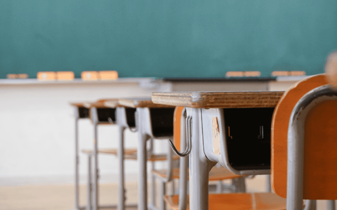 fACTivist Feature Article: How Collecting Race-Based Data Can Address Systemic Racism in Public Education