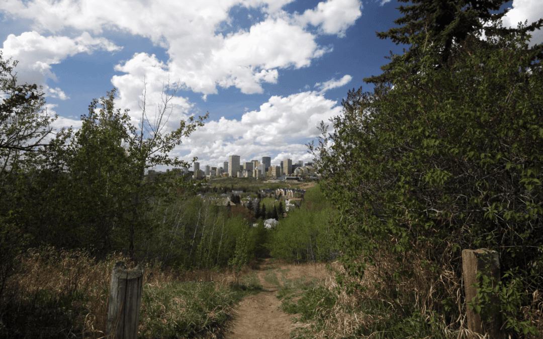 Statement on the Discovery of a Mass Gravesite of 215 Children Buried at a Former Residential School