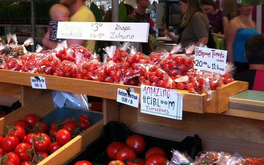 ESPC in the News: Susan Morrissey discusses food security in EDify magazine